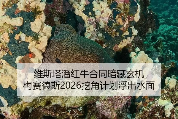 维斯塔潘红牛合同暗藏玄机 梅赛德斯2026挖角计划浮出水面